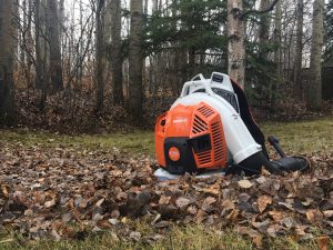 Why is a Lawn Leaf Cleanup so important