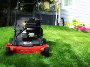 Spruce Grove Lawn Mowing