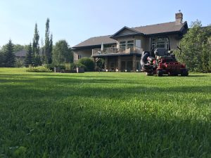 Acreage Yard Maintenance