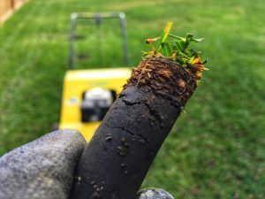 Lawn Core Aeration