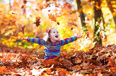 Fall Cleanup Edmonton