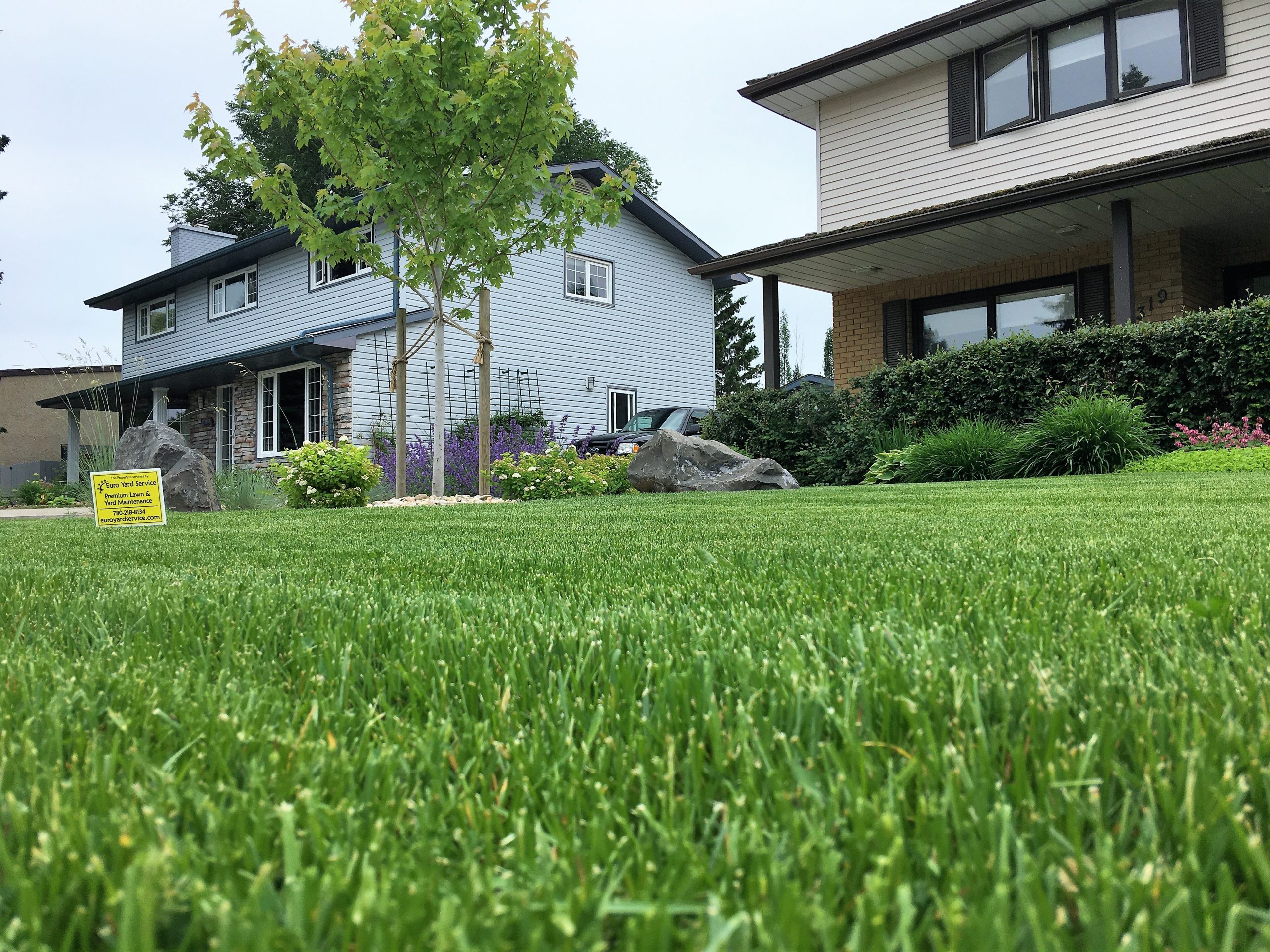 can-i-do-a-spring-yard-cleanup-myself