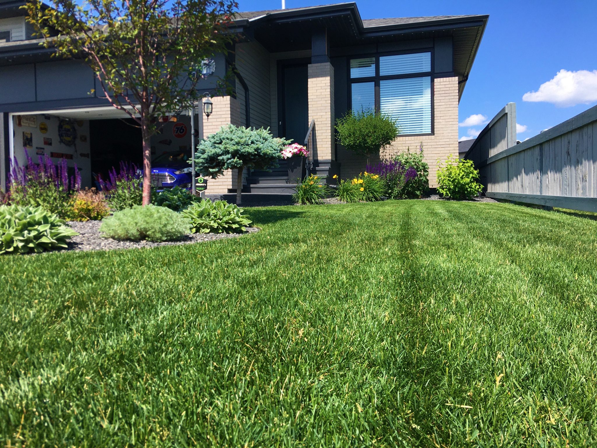 5 Tips for a Lush and Healthy Lawn in Spring for Edmonton, Alberta