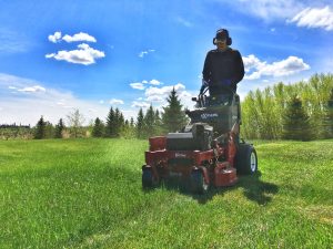 Tips hiring lawn care