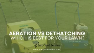 Aeration vs Dethatching- Edmonton
