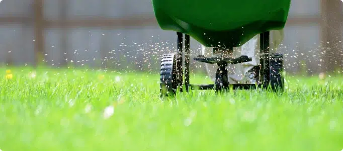 fertilize lawn in edmonton