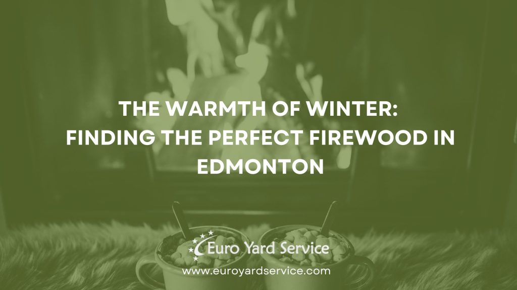 Buy Firewood in Edmonton WinterGuide