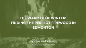 Cheap Firewood in Edmonton