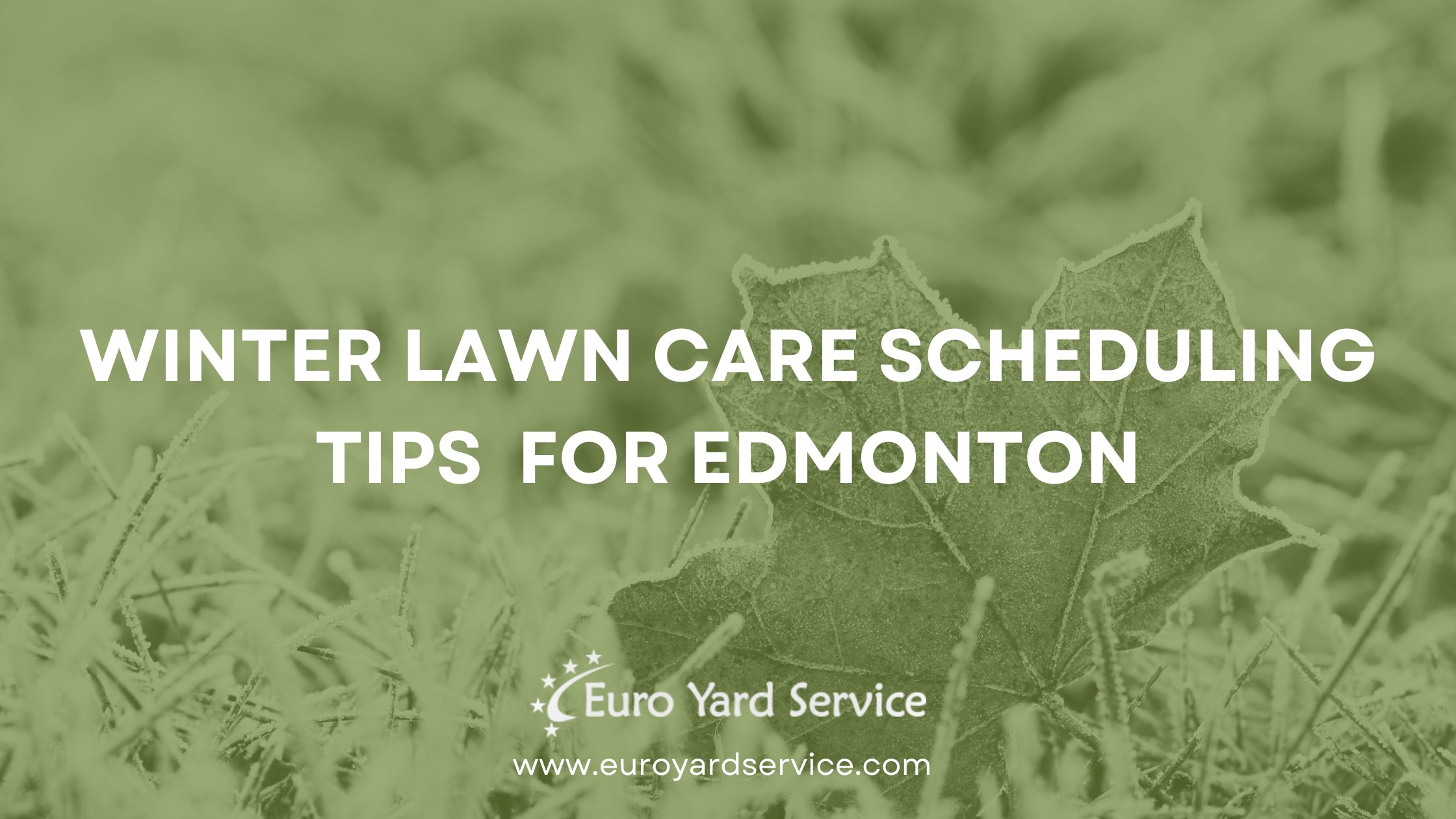 Winter Lawn Care Scheduling Tips for Edmonton
