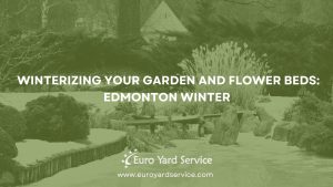Winterizing Your Garden and Flower Beds_ A Guide for Edmonton Winters