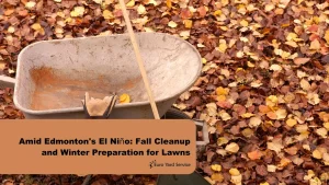 edmonton-el-nino-lawncare