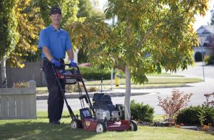 Lawn Mowing