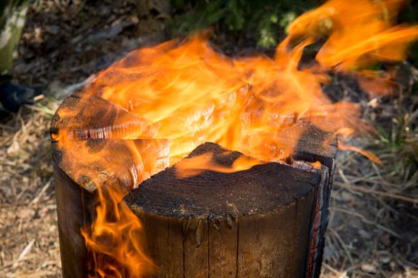 Outdoor Torch