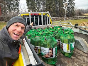 firewood bagged delivery
