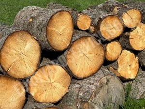 firewood large logs
