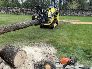 firewood logs