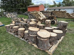 firewood stumps