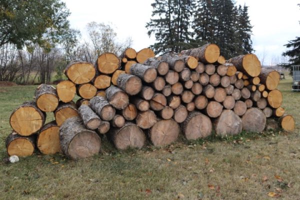 Tamarack Spruce Pine firewood Mix logs