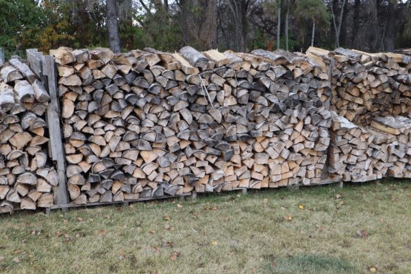 Firewood Aspen Popular stacked